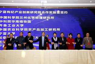 寧夏中寧枸杞產業創新研究院項目發布簽約暨學術交流會成功舉辦，工商事務代理助力產業發展