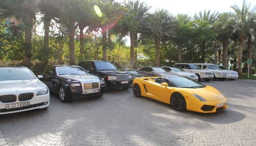 奢華與務(wù)實(shí)并存 從沙特汽車銷量榜看全球市場差異