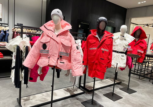 成本75,售價1500 羽絨服以次充好,知名服裝品牌衣念被罰